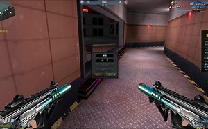 终于会玩pp2000了