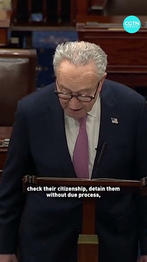 Schumer to Trump:Pay TSA. Not ICE.