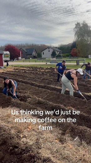it’s tulip time!! #charlestownri #rhodeisland #quonniefarms #quonnie #ri #tulip #farmgirl #charlestown #flowers | Quonnie Farms