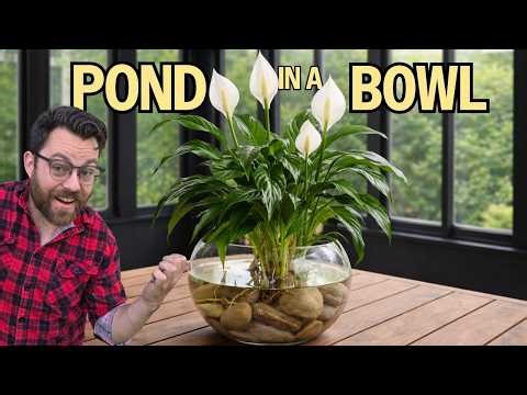 Create Your Own Stunning Plant Centrepiece