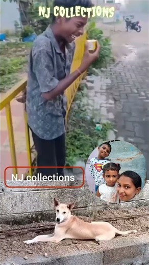 Acho pavam 🥺🥺 #shorts #trendingshorts #njcollection #funny #ytshorts #viralshorts #shortsfeed