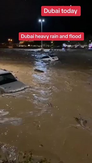 Severe Urban Flooding in Dubai: Impact and Scenes