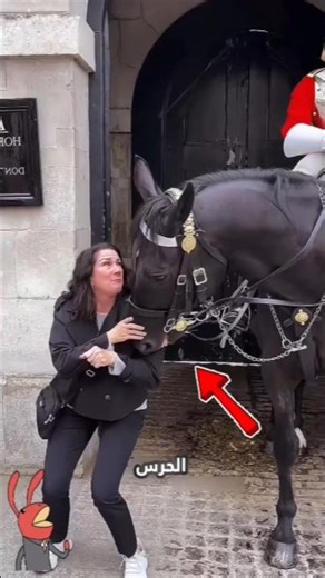 لا تقترب من حصان الحرس الملكي..! 👌🙅‍♂️#shorts