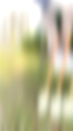 We wanted to share what Raintree’s groundbreaking ceremony entailed! Our campus renovation is happening just in time for our Centennial. That’s right, 100 years of Raintree. Want to learn more about the changes on campus and how you can help? Click the link https://www.raintreeservices.org/centennial🏡🔨🚜 | Raintree Children & Family Services