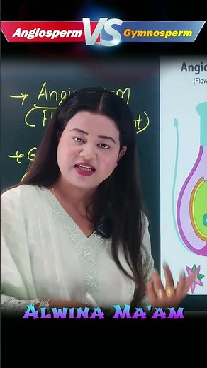 Angiosperm VS Gymnosperm ☘️ #shorts #bilogy #class11bio #angiosperm #gymnosperms