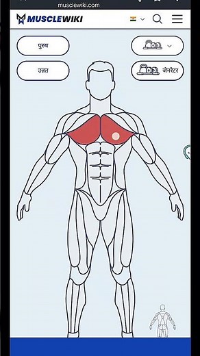 Gym Beginners Must Know This Website 🔥 | MuscleWiki Exercise Guide #gymtips #fitnesswebsite