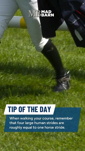 💡 Tip Of The Day! When walking your course, take big, even steps to count strides and measure distances. This helps you maintain consistent rhythm and balance throughout your ride! 🏇 Counting strides ensures you approach each jump with the right pace and position, reducing the chances of knockdowns or refusals. 👣 As a general rule, four large human steps = one horse stride. When counting, start four steps from the base of the first jump to account for your horse’s landing stride. To learn mor