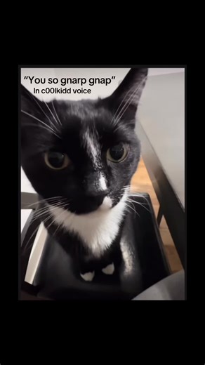 Gnarp Gnap: Embracing Cool Kiddy Vibes