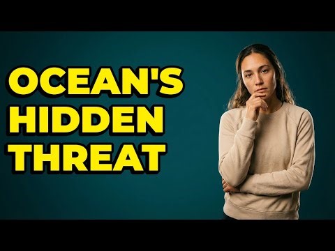 How Does Biomagnification Impact Ocean Animals?