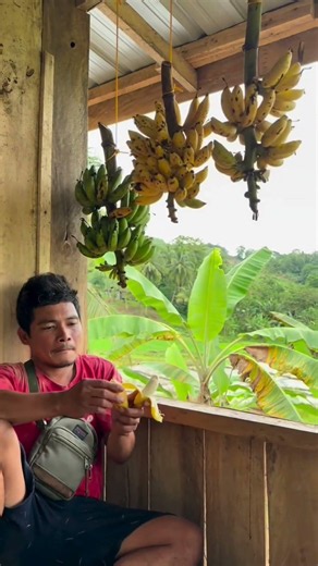 The Sweetest Reward of Jungle Living 🍌