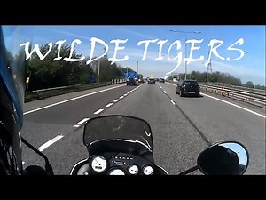 MAPPED - WILDE TIGER (Toby's Triumph Tiger 955i)