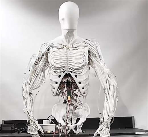 Poland Clone Robotics Make Liquid Muscled Synthetic Copy of the Human Body | NextBigFuture.com