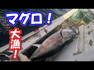 #020【大間のマグロ！】小さなマグロに大きなマグロ両方釣れた！！
