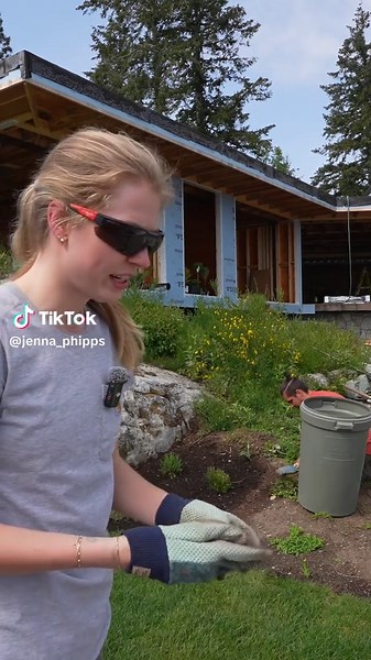 part one of our backyard makeover 🪴 | Backyard Makeover