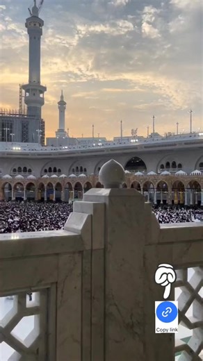 Issues with TikTok Video Reviews