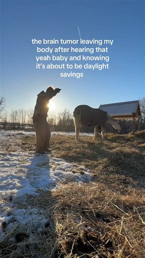 That little rocket ship in the back is actually the tumor blasting off #braintumor #chiarimalformation #horse #animalcommunicator #fyp