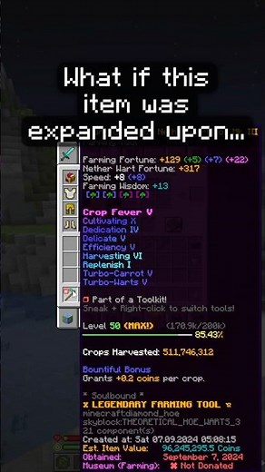 This Item Can Be Expanded Further... 📖 #hypixelskyblock #minecraft