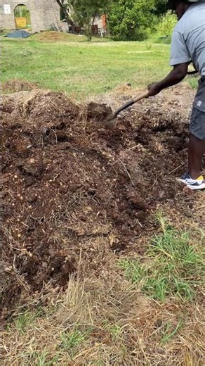 How to process mulch
