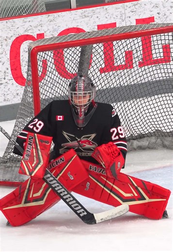 Unreal Hockey Setup: Motion and Head Tracking Innovations