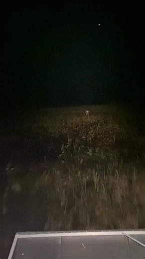 ORIGINAL VIDEO HERE👉 @daddy.cheesecake #fyp #fy #foryou #foryoupage #meme #funny #elderscrolls #xd