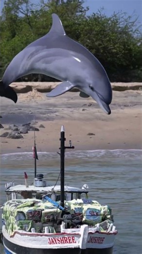 dolphin jump dhow boat remote control