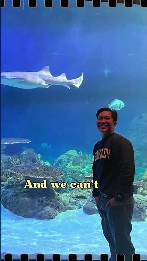 Thrills & Chills at Six Flags Discovery Kingdom: Vallejo's Ultimate Amusement Park Adventure