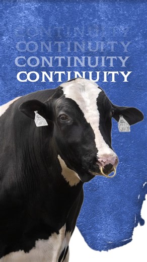 STgenetics Legend™ Program - Creating impactful and high-performance sires, generation after generation. STgenetics Legend™ Program assists dairy producers in reaching new genetic heights, pushing past their goals to create one of the best Return on Investments within their dairy farm. Current Legends™ like GARZA, CAPTAIN, DOMINANCE & THORSON have all came up through the ranks within the Legend™ Program and they along with their other Legend™ counterparts are all available in Ultraplus™, the mos