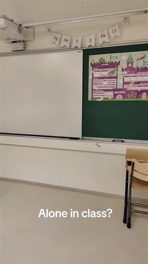 Navigating Classrooms Alone: Teacher Perspectives