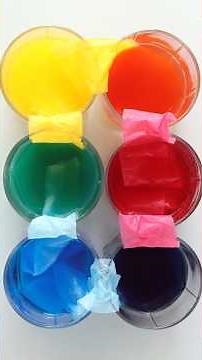 Why Celery Changes Color in Dyed Water? #science #celeryjuice #celery #plants