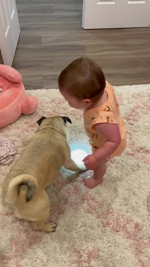 Funny Baby and Dog Moments That Will Make You Laugh