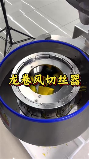 Advanced Beef Shredder Machine for Efficient Processing