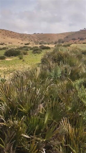 #الطبيعة #الطبيعة_البرية