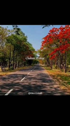 Ik vaari Aaja door jaan waliye🥺|| Sadi Gali Aaja #songlyrics #lovestatus#lyricsvideo#viral#trending