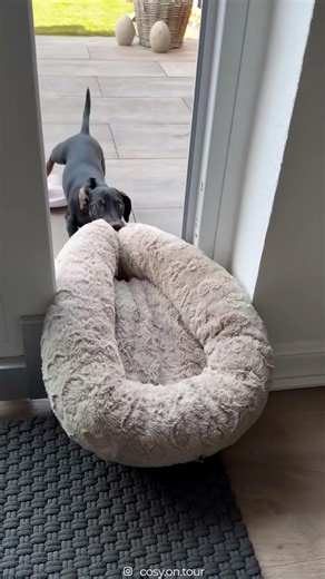 When sunbathing is life ☀️😂❤️