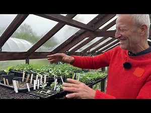 Mid-spring propagation skills for warmth-loving plants