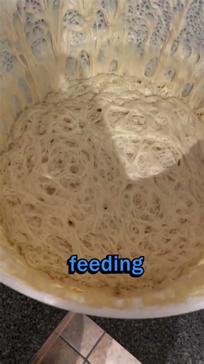 How to feed your sourdough starter the right way #sourdough #tutorial #baking