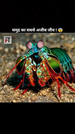 ये छोटा जानवर कांच को भी तोड़ देता है! 😱