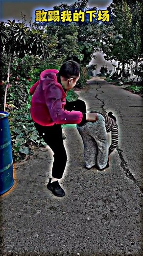 LOVELY SONG 💓|🥰4K STATUS FULL SCREEN ✨ WHATSAPP ✨ JH STATUS 1M #shortyoutube #lovestatus#love