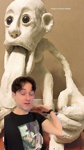 The cortical homunculus #science #brain | cortical homunculus