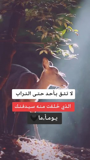 Deer in Its Natural Habitat: A Close-Up View