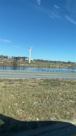 Look at all those chickens 🐔 #birdtok #fyp #funny #highlight #viral | birds