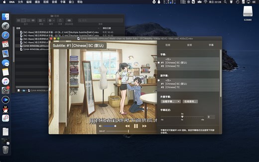 使用Mkvtoolnix提取视频内封字幕