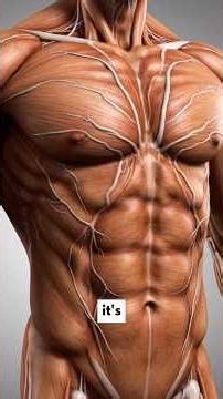 Why some lifters look vascular (and others look “soft”).It’s not just diet —