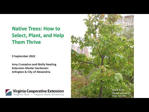 Native Trees: How to Select, Plant, and Help Them Thrive - Updated in 2022