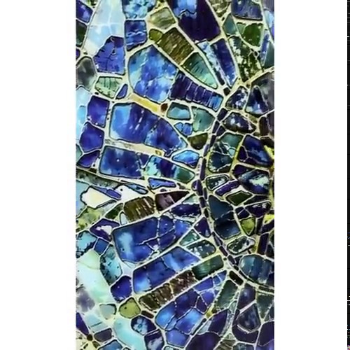 Dolphin Tempered Glass Wall Art, Vivid Color Animal Print, Ocean Decor - Etsy