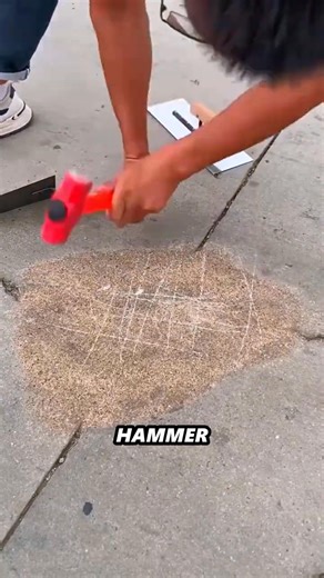 #Facts #reelschallenge #facts #Info #reel #randomfacts #information #magic | fact2fact