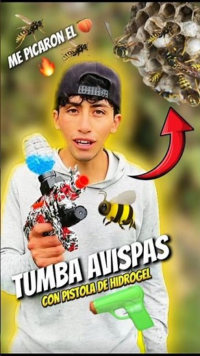 Tumba avispas con pistola de hidrogel me picaron el 🍑🐝🔥🥵 #Viral #yosoydelos7mil