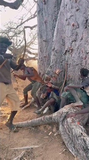 When the Hadza tribe people shoot balloons with arrows#united #balloon #shoot #hadzabetribe