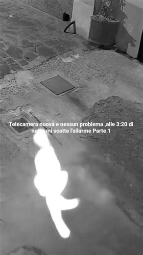 “La telecamera è nuova e funzionava… ma alle 3:20 è successo questo”Oppure ancora più aggressivo: