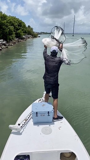 That minnow net doin work. Chummed up the mangrove snappers real good #castnet #SummerDIY #fishing